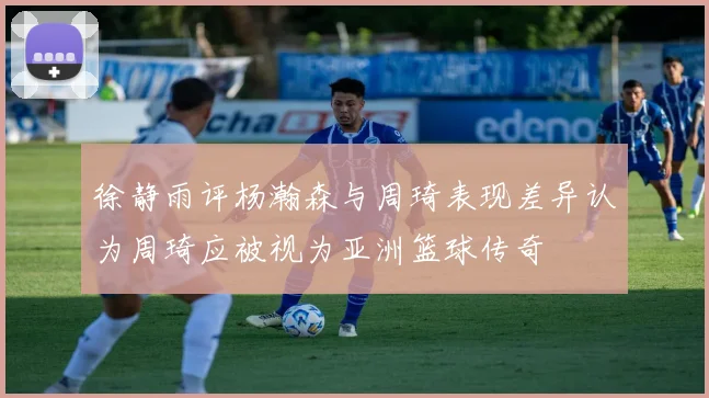 徐静雨评杨瀚森与周琦表现差异认为周琦应被视为亚洲篮球传奇